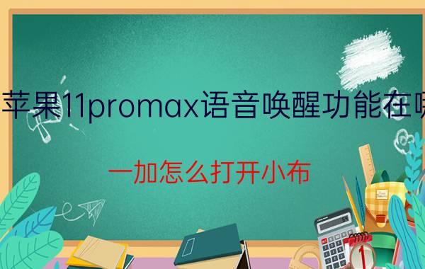 苹果11promax语音唤醒功能在哪 一加怎么打开小布？